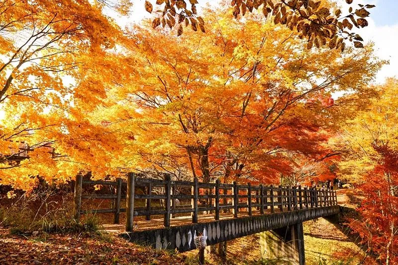 山中湖