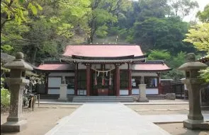 image5