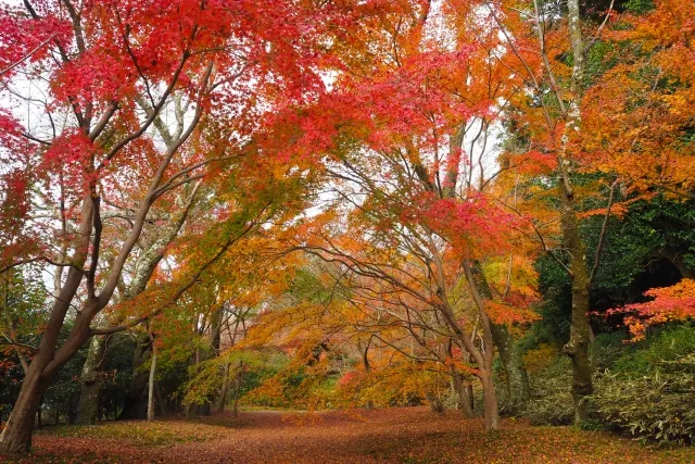 弘川寺