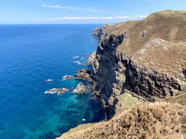天売島