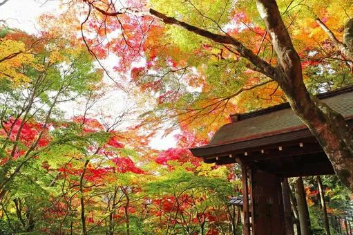 瑞宝寺