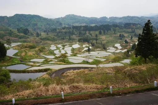 星峠の棚田