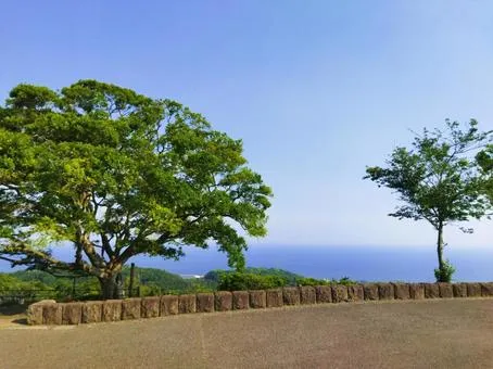 高麗山公園