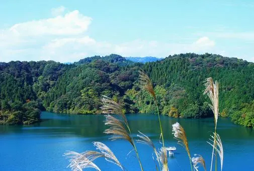城山湖