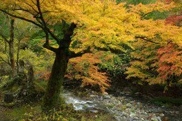 桐生川上流