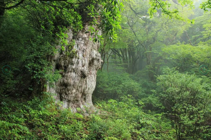 image11