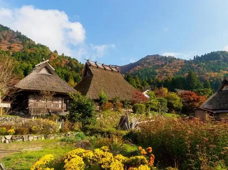 美山町